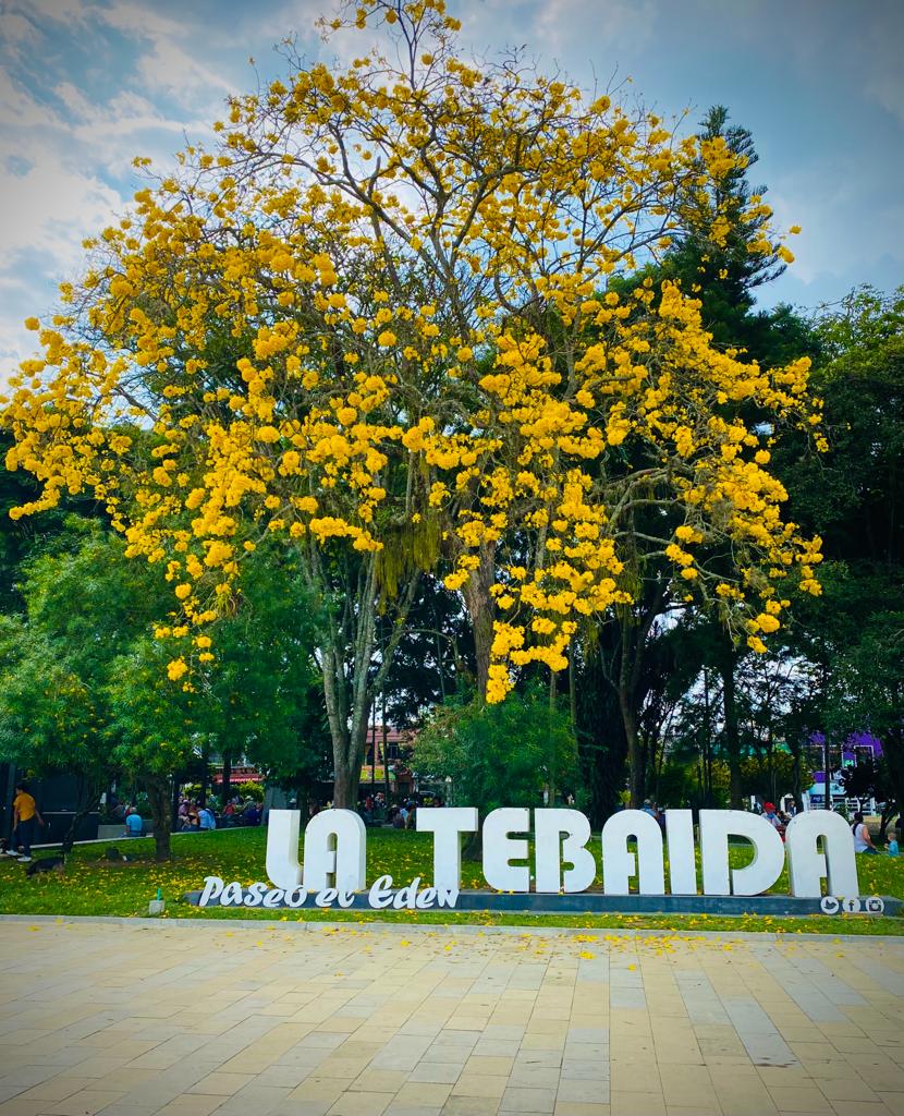 La Tebaida